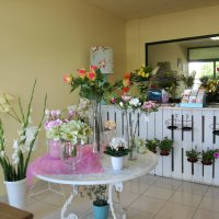 flores com graca